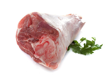 lamb knuckle © cynoclub