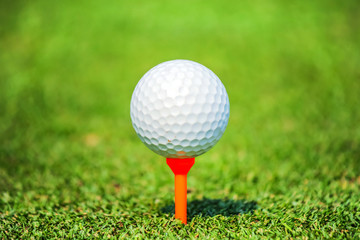 close up golf ball with tee on green grass