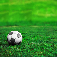 Fototapeta premium soccer ball