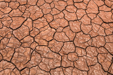 dried cracked mud texture background