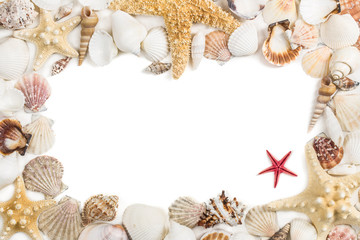 Seashells frame. Isolated on white background.