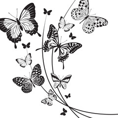 design of different red butterflies