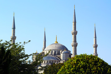 Fototapeta na wymiar Голубая мечеть в Стамбуле