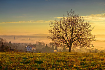 Town of Krizevci  and landscape in morning fog