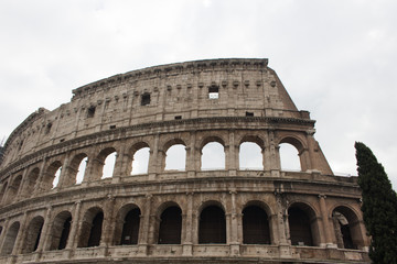 Naklejka premium Rome colosseum