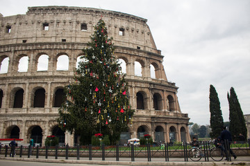 Fototapeta premium rome colosseum