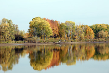 autumn trees reflected in the river