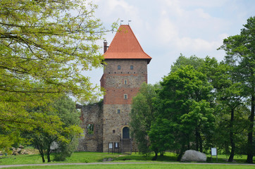 Castle in Poland (Chudów)