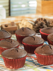 homemade chololate cupcake