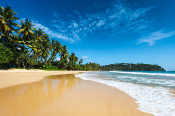 Idyllic beach. Sri Lanka - obrazy, fototapety, plakaty