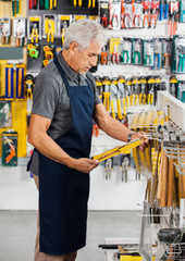 Salesperson Working In Hardware Store