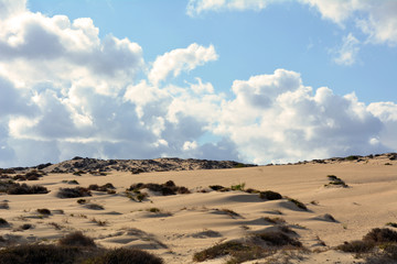 Dunes of Corralejo, Fuerteventura, Canary Islands, Spain