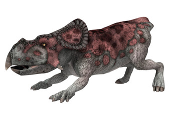 Dinosaur Protoceratops