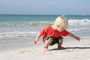 Fototapeta premium Young Child Picking up Seashells on Beach by Ocean