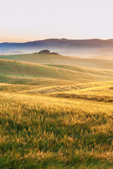 Naklejka na ściany i meble Tuscan fog in the fields sunshine, Italy