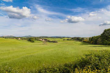 Tuscan hills in Val d'Orcia, near Pienza, Italy
