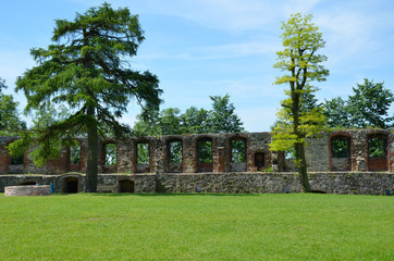 Castle ruins (Toszek in Poland)