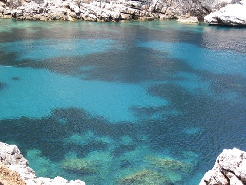 Maiorca