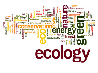 Conceptual ecology word cloud