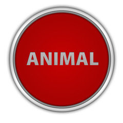 Animal circular icon on white background