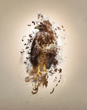 Falcon on the branch, abstract animal concept