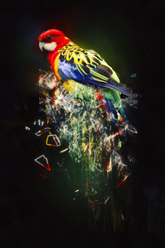 Parrot, abstract animal concept