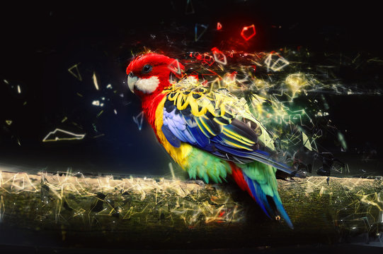 Parrot on the branch, abstract animal concept