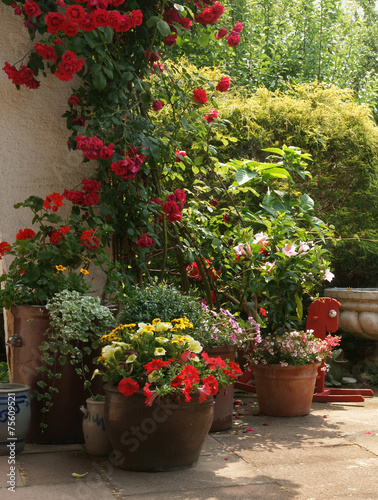 "Garten" Stockfotos und lizenzfreie Bilder auf Fotolia.com - Bild 75609521