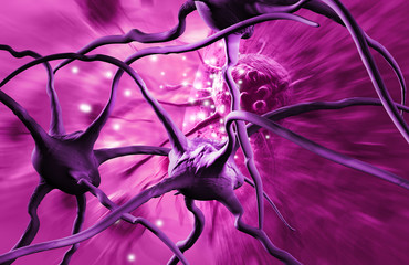 cancer cell