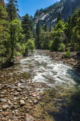 little creek in Yosemite National Park