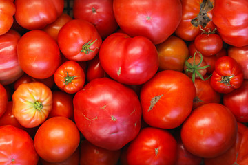 Organic tomato