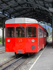 Naklejka premium Train at mountain railway station in Mer de Glace France