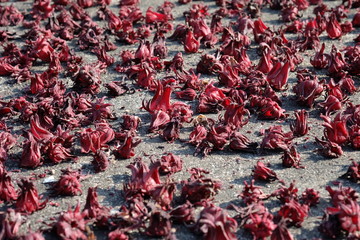 dried Roselle fruits (Hibiscus sabdariffa L.)