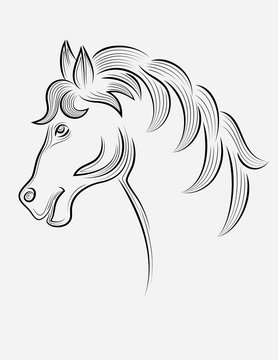 Horse head outline, art vector sketch decoration