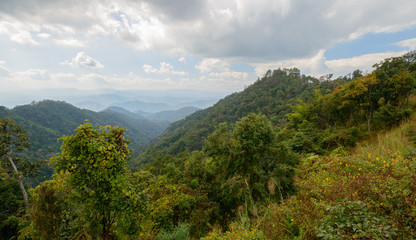 Fototapeta na wymiar Tropical mountain mist in Thailand