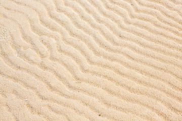 Sand Texture