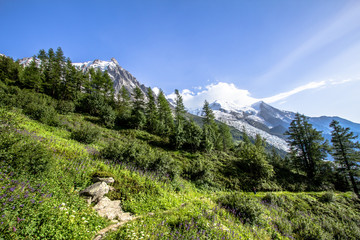 French alpine landscape with forest, meadows and mountains
