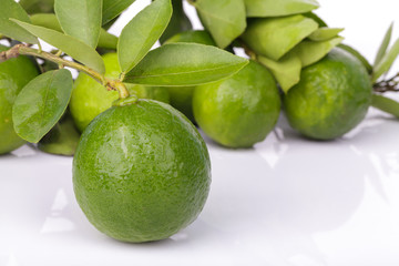 Fresh citrus lime fruit isolated on white background