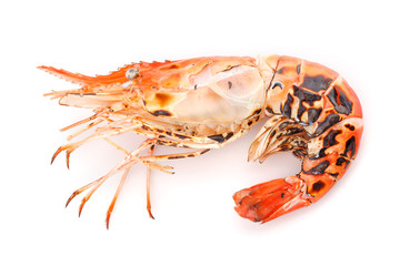 Grilled giant freshwater prawn