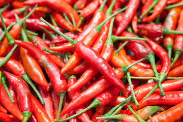 Red chili peppers