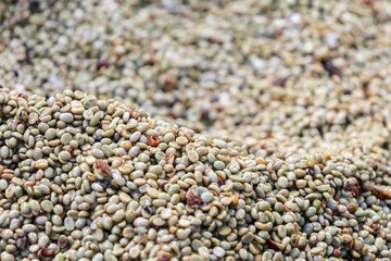 Coffee bean raw