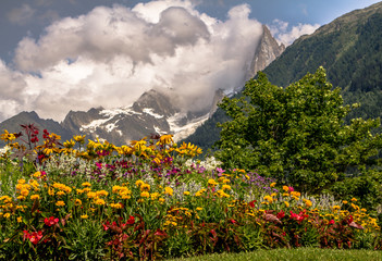 Fototapeta na wymiar Flowers on the background of Mont Blanc 