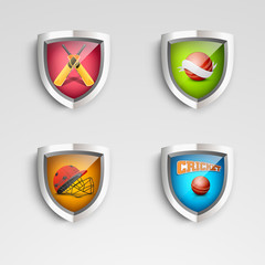 Glossy colorful winning shield for cricket sports concept.