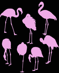 Fototapeta premium seven pink flamingo silhouettes isolated on black
