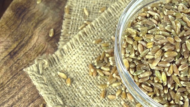 Green Spelt (seamless loopable)