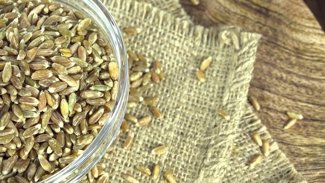 Green Spelt (not loopable 4K UHD close-up footage)