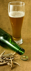 bottle, a glass of beer and dry fish closeup