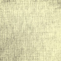 Texture of the paper as a background.