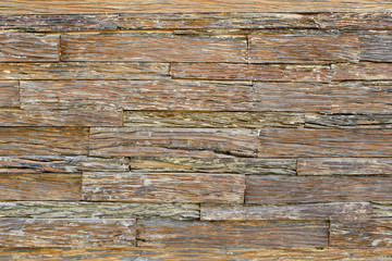 Fototapeta premium wood texture