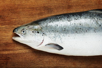 Fresh salmon on cutting board